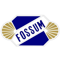 Fossum IF Skien