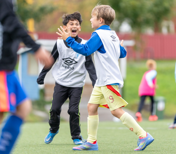 FUTUR liten høstpakke junior